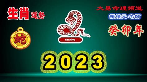 2023生肖蛇|2023生肖運勢｜屬蛇事業運有危自有機？雲文子奇門遁甲2023兔 